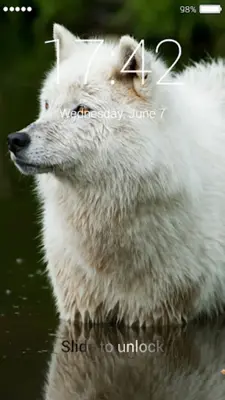 Wolf Lock Screen android App screenshot 0