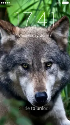 Wolf Lock Screen android App screenshot 1